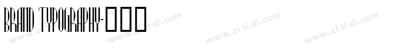 Brand Typography字体转换 Brand Typography字体转换